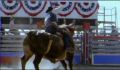 dr dolittle 3-avi_1000_221.jpg